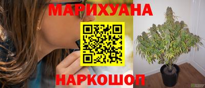 крисы Абинск
