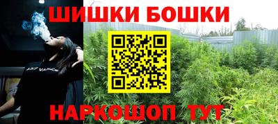 прущие грибы Абакан