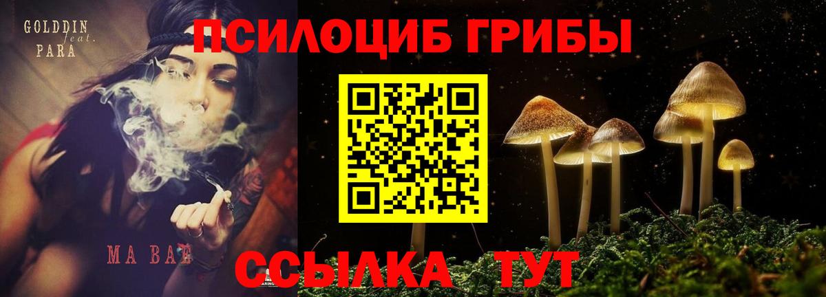Алатырь  Галлюциногенные грибы прущие грибы  Вход с VPN 